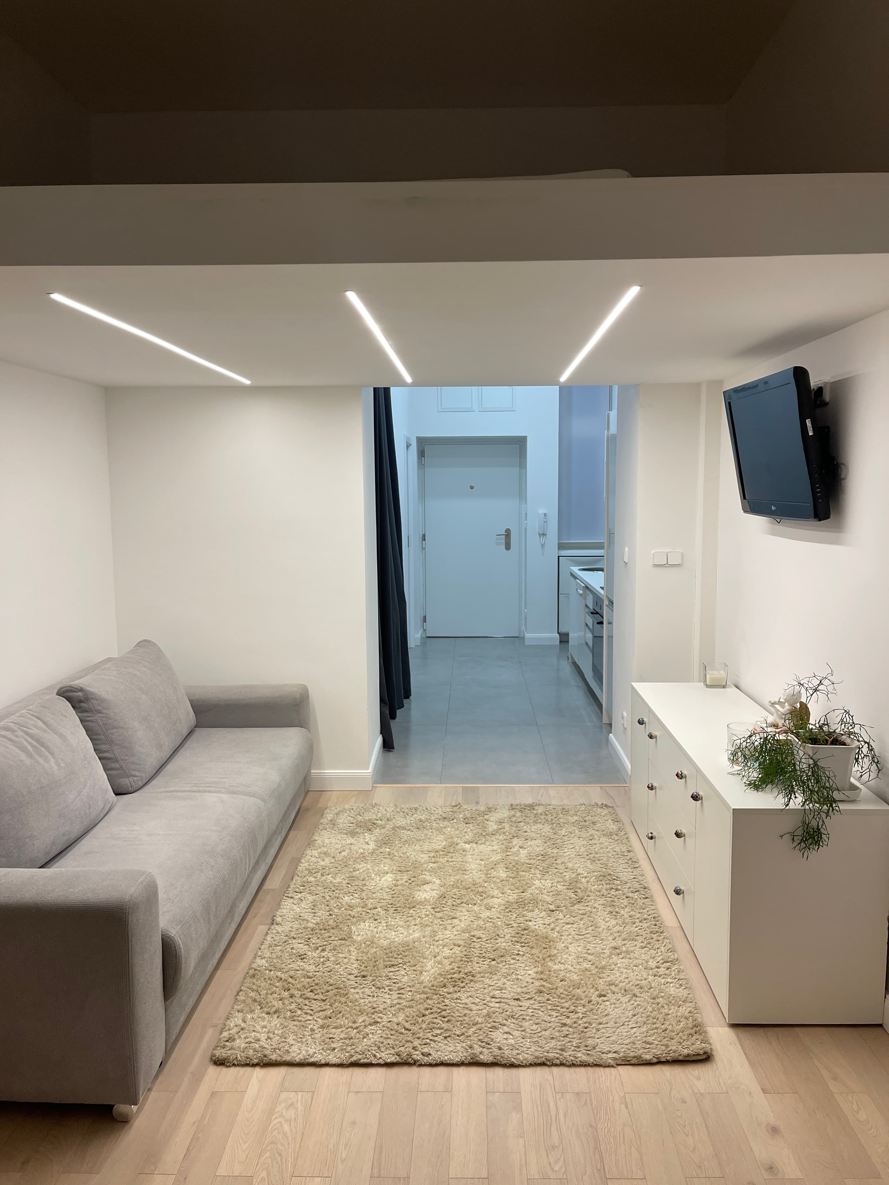 Full 1+kk apartment renovation, Zizkov